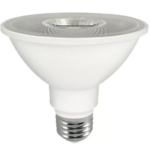 Lâmpada Led PAR30